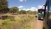 Full Day at Casela World of Adventures (Transport Only)