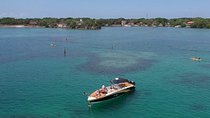 Rosario Islands Private Boat Tour