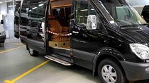 Private Pick Up From Cairo Airport