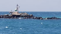 Full-Day Mornington Peninsula Sightseeing Tour from Melbourne