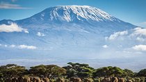 Climb Mount Kilimanjaro: 7 Days Machame Route