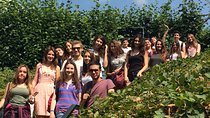English + Medicine University Taster One Week Program in London