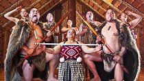 Private Tour[2 Days]:Bay of Islands, Waitangi, Russell & Hole In The Rock Cruise