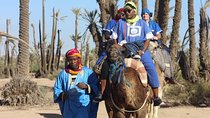 Camel ride at sunset from the palm grove