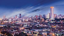 Half-Day Johannesburg City Tour with Pickup