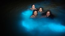 Luminous Lagoon (Glistening Waters )Night Tour with Pickup