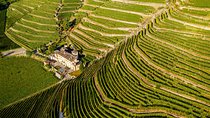 Lake Como & UNESCO Dry-stone Walls Vineyards