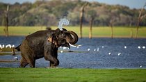 Rangiri Jeep Safari Sigiriya Lion Rock & Evening Jeep Safari