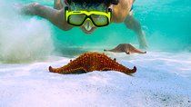 Private Stingray City and Snorkeling Half Day Charter for 6 Guest