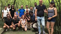 Full-Day Private Tour to Chengdu Giant Panda Base and Leshan
