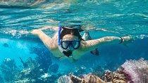  Koh Madsum (Pig island) and Koh Tan Day Tour from Koh Samui