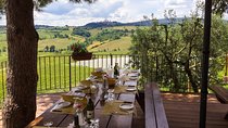 Private Guided E-bike Tour of San Gimignano with Wine Tasting