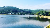 Private 6-Day Garden Route Tour from Cape Town
