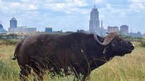 Nairobi city tour