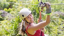 Zipline Canopy & Crocodile Safari Cruise. Private Tour