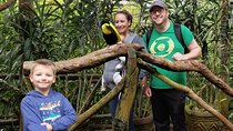 Poas Volcano & La Paz Waterfalls Gardens. Private Tour