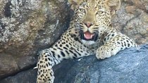 Private 3 night 2 day safari. Kruger National Park from Hazyview.
