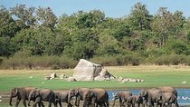 Udawalawe Safari Private Day Tour Kaluthara/Beruwala/Bentota/Kosgoda/Ahungalla