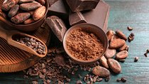 Chocolate Tour & Baldi Hot Springs. Private Tour from San Jose
