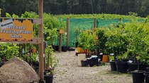Yarra Valley Wineries and Rayners Orchard Tour from Melbourne