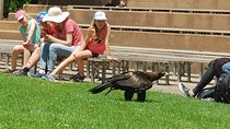 Healesville Sanctuary and Rayners Orchard Tour from Melbourne