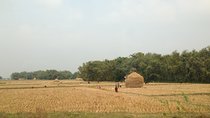 5-Day Private Farming Experience in Nayapul with Accommodation