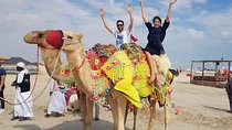 Desert Safari 7 Hours Tour with Dinner and Camp