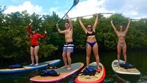 Paddle Boarding Rentals