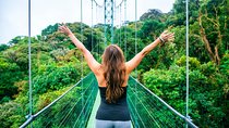 Arenal Hanging Bridges and Hot Springs Private Tour from San Jose