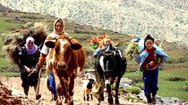 Berber Life Experience In the Atlas Mountains from Marrakech