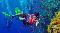 Dolphin Tour and Snorkeling at Mnemba Atoll - Private