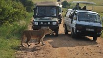 Nairobi National Park Tour with Game Drive and Transfer