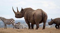 Nairobi National Park, Karen Blixen, Beads Center and Bomas