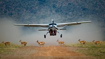 3-Day Masai Mara Private Flying Safari with 4x4 Game Drives