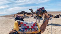 Marrakech: Full-Day Trip Atlas Mountains With Camel Ride