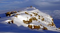 1 Day Marangu route trip up to Mandara Hut | Kilimanjaro hiking