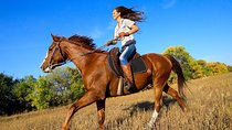 Arenal Volcano Horseback Riding & Baldi Hot Springs. Private Tour