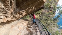 Blue Mountains Highlights & Wildlife Park 