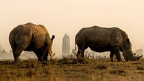 Nairobi National Park Game Drive & Carnivore Restaurant Lunch or Dinner
