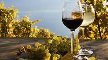 The Vine Tour from Lucerne (Private Tour)