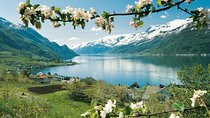 Bergen: Self-Guided Roundtrip (Sognefjord Cruise 5h & Flamsbana)