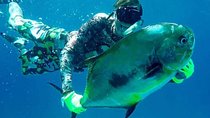 Spearfishing Playa del Carmen or Tulum