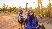 Sunset Camel Ride In The Marrakech Palm Grove