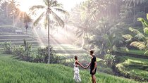 The Highlight of Ubud and Hidden Waterfall - Fullday Day 