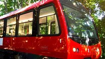 Corcovado Train & Sugarloaf Full-Day City Tour with Lunch