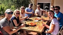 Guided tour with tasting