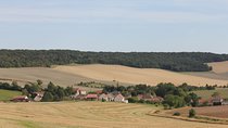 Private Half Day Champagne Tour – 2 Family Vineyard Visits