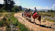 Day trip to Berber valley and Atlas mountains