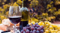 Private Half day Concha Y Toro winery tour from Santiago