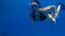 Jungle Adventure Tour! Speed boat and Snorkeling (Single)